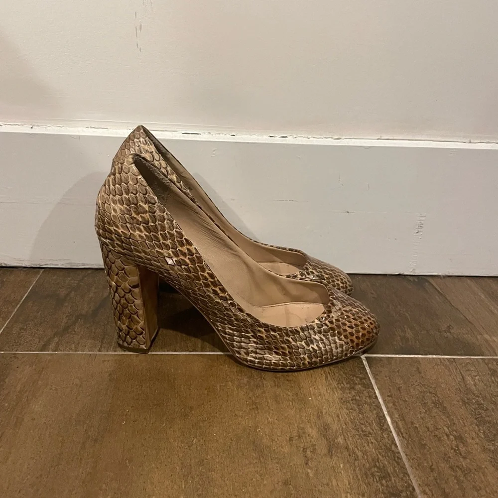J.Crew Collection Etta Pumps in Snakeskin